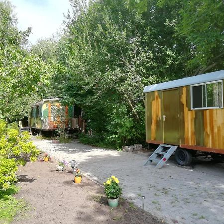 Vegawagen Psyche, Een Sprookje In Coevorden Exterior foto